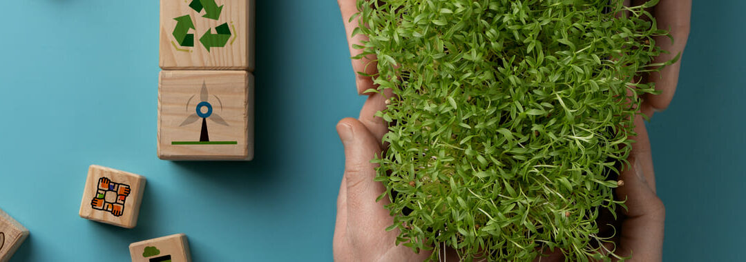 Kickstart CSR Initiatives with Tocndix