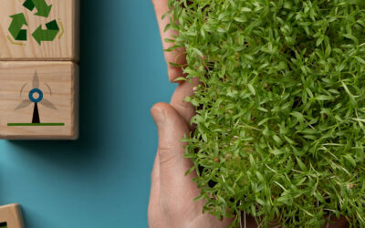 Kickstart CSR Initiatives with Tocndix